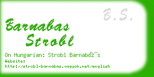 barnabas strobl business card